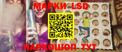 шишки Абакан