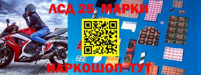 шишки Абакан