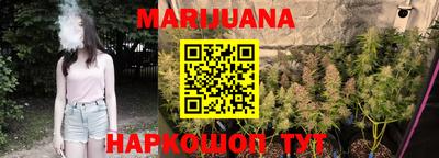 шишки Абакан