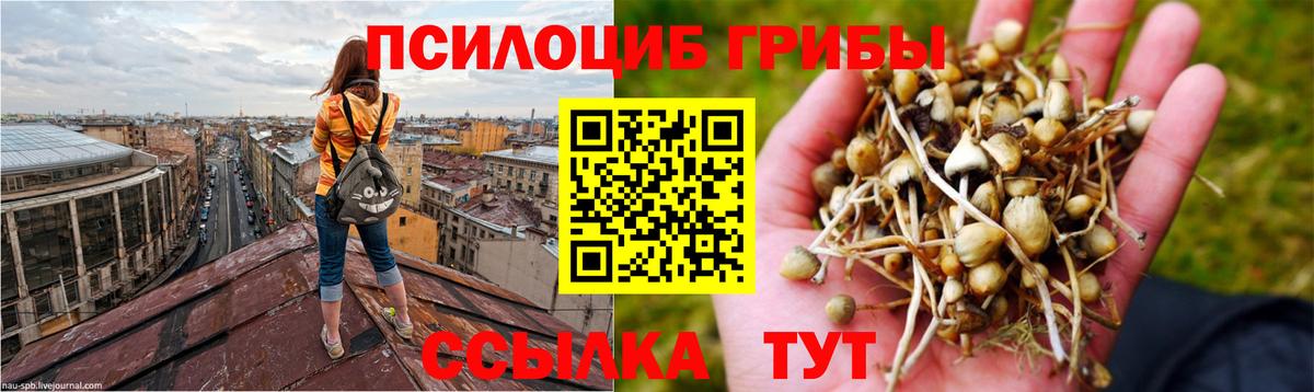Галлюциногенные грибы мухоморы Азнакаево