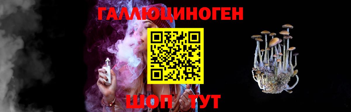 Галлюциногенные грибы Psilocybe  Вход с VPN  Галлюциногенные грибы Psilocybe  Азнакаево 